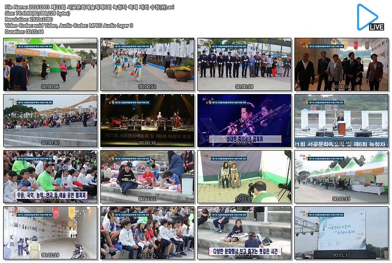 [서구 톡톡 41회] 20161003 제21회 서곶문화예술제 제6회 녹청자 축제 개최 사진